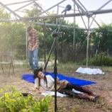 Dog Walkers performance