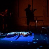 Dog Walkers performance